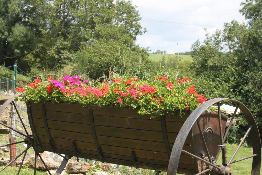 Le Mas Bertrand Bed & Breakfast Villefranche-de-Panat Room photo